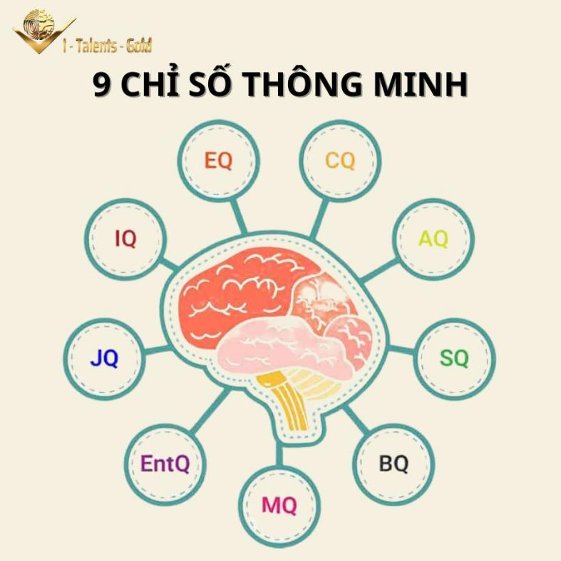 9 chỉ số thông minh qua sinh trắc vân tay