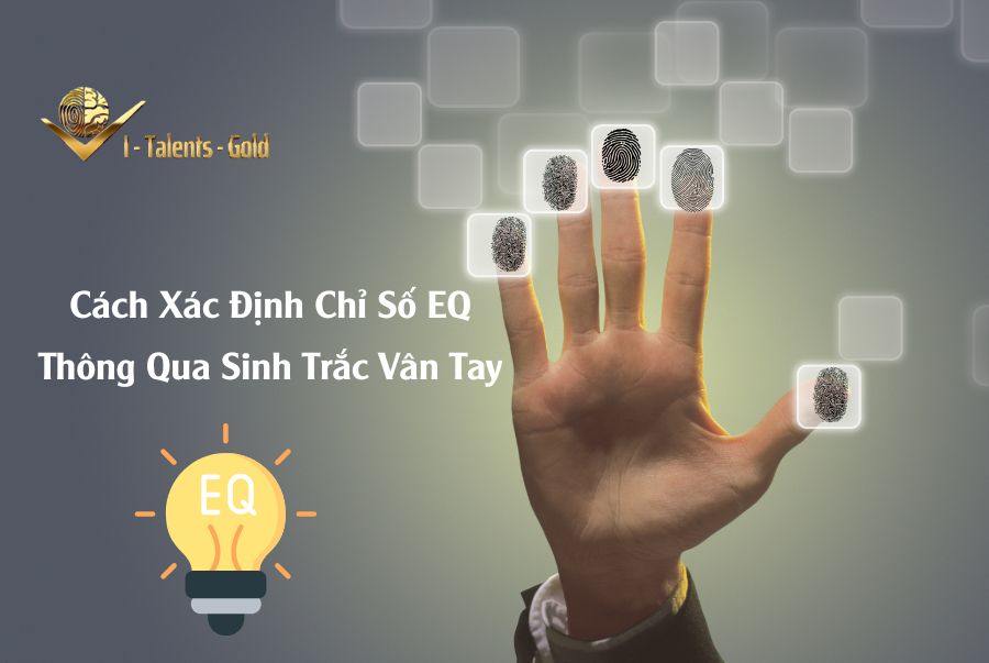 cách xác định chỉ số EQ trong sinh trắc vân tay