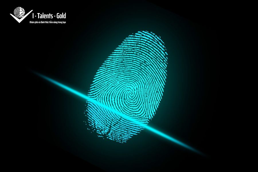 bài test sinh trắc vân tay