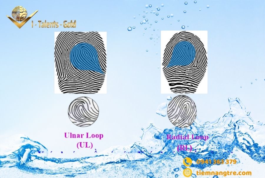 các loại vân tay chủng nước