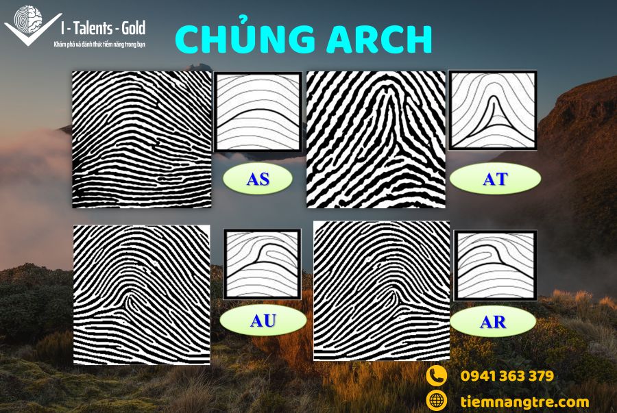 các loại vân tay chủng núi Arch