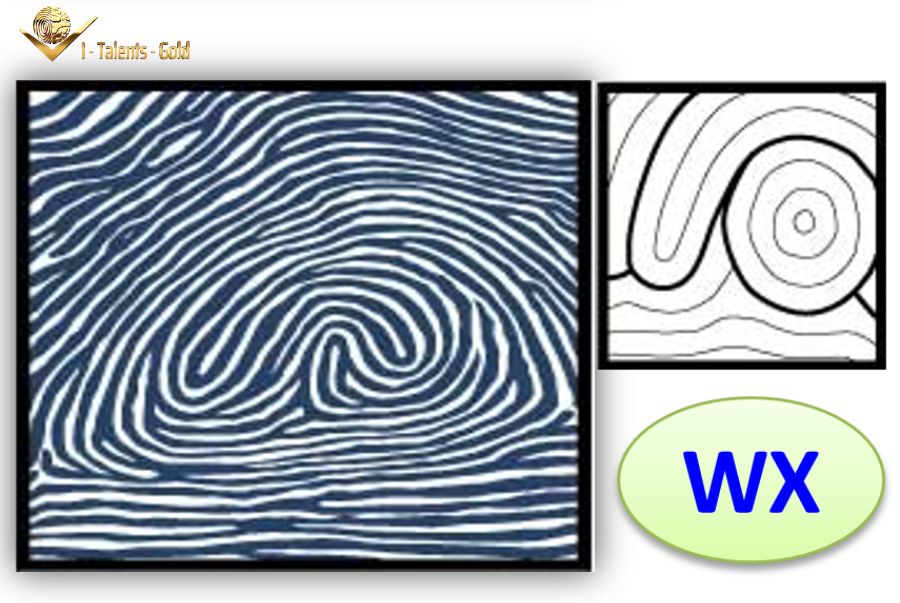 Dấu hiệu nhận biết vân tay wz