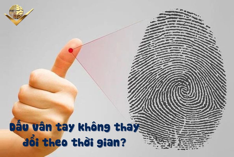 dấu vân tay không thay đổi theo thời gian