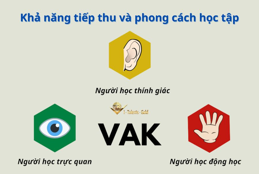 mô hình VAK