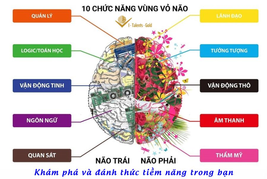 não bộ liên kết với sinh trắc vân tay như nào?