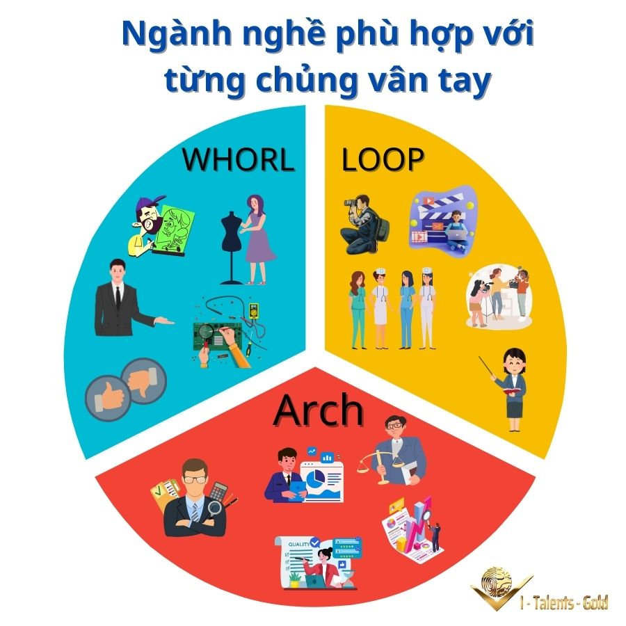 nghề nghiệp phù hợp với từng vân tay