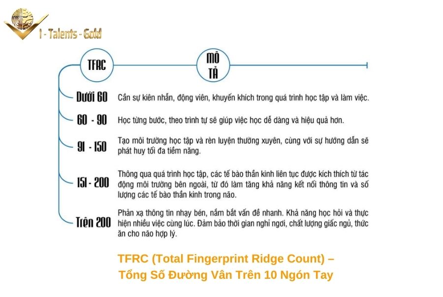 phân tích dấu vân tay