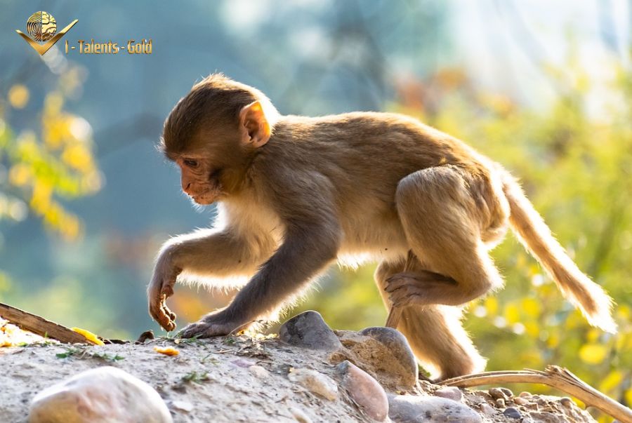 phát triển cá nhân qua sinh trắc vân tay