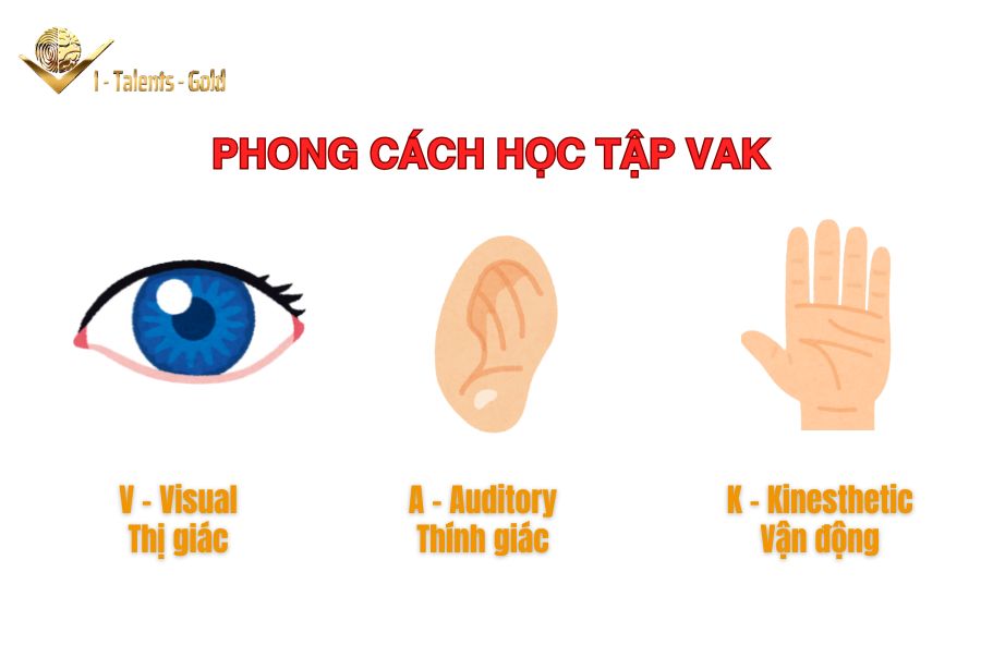 phương pháp học tập VAK