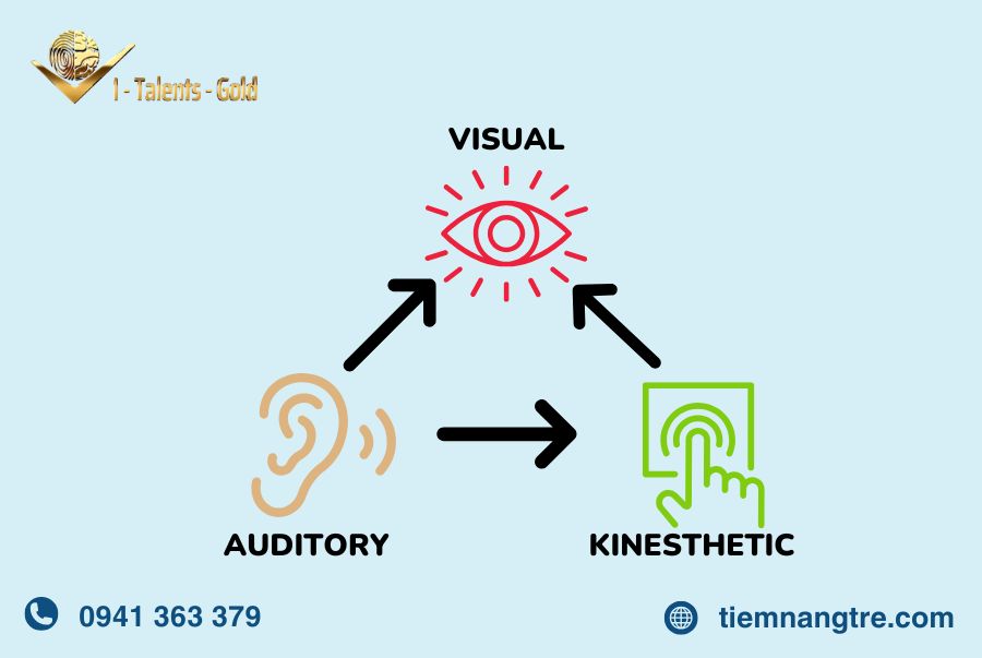 phương pháp học tập VAK