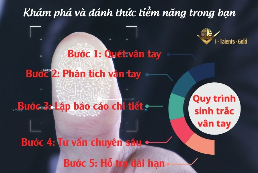 quy trình làm sinh trắc vân tay