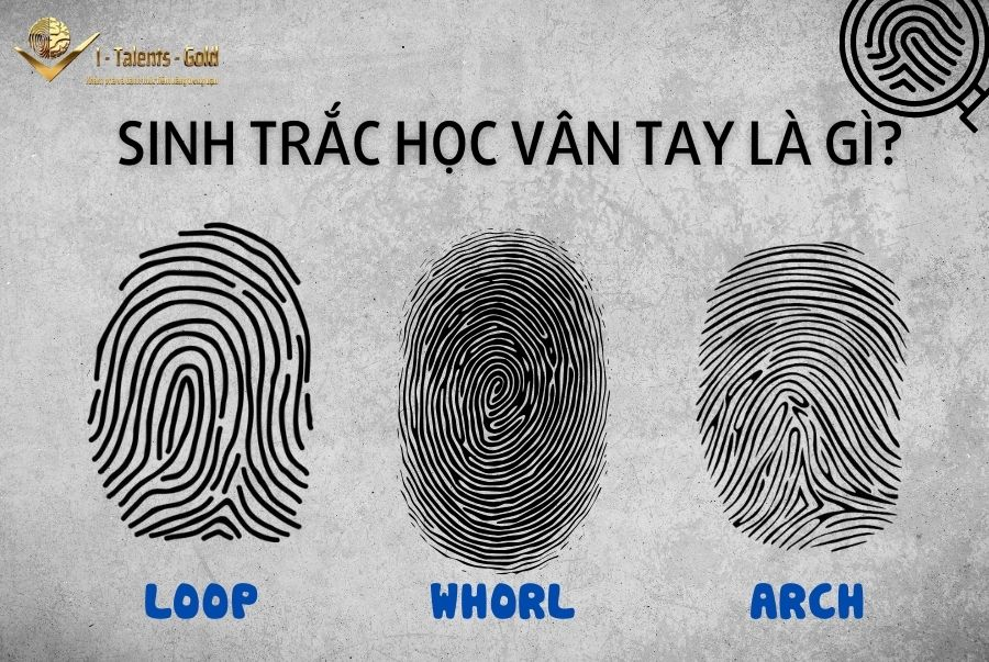 sinh trắc học vân tay là gì