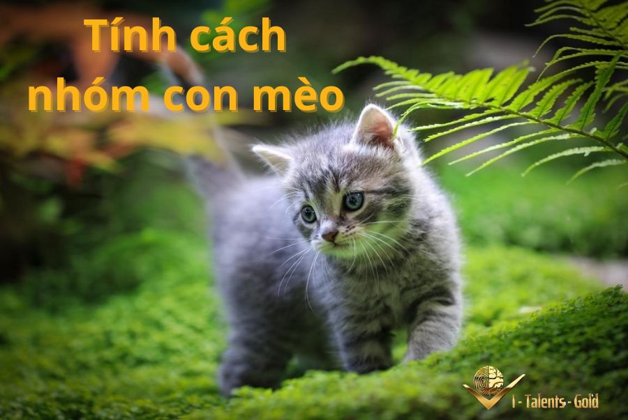 sinh trắc vân tay