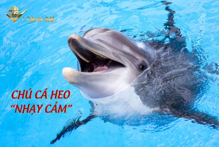 sinh trắc vân tay phát hiện tiềm năng bẩm sinh