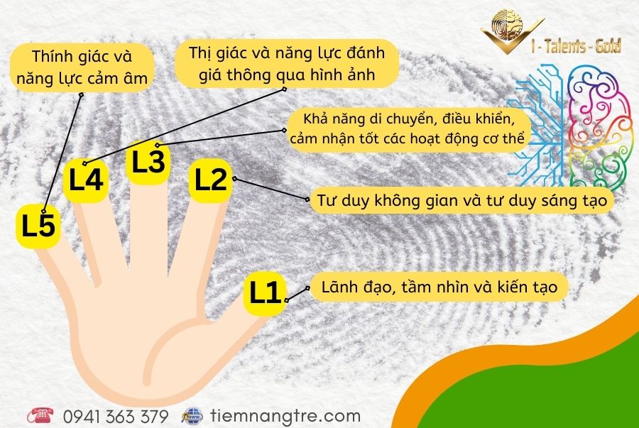 sự liên kết giữa tay trái và não phải