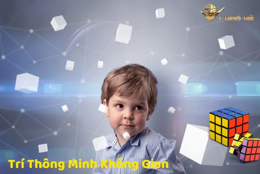 trí thông minh qua sinh trắc vân tay