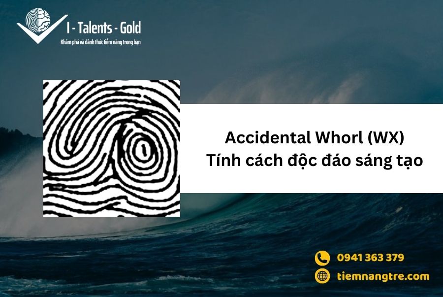 vân tay Accidental Whorl