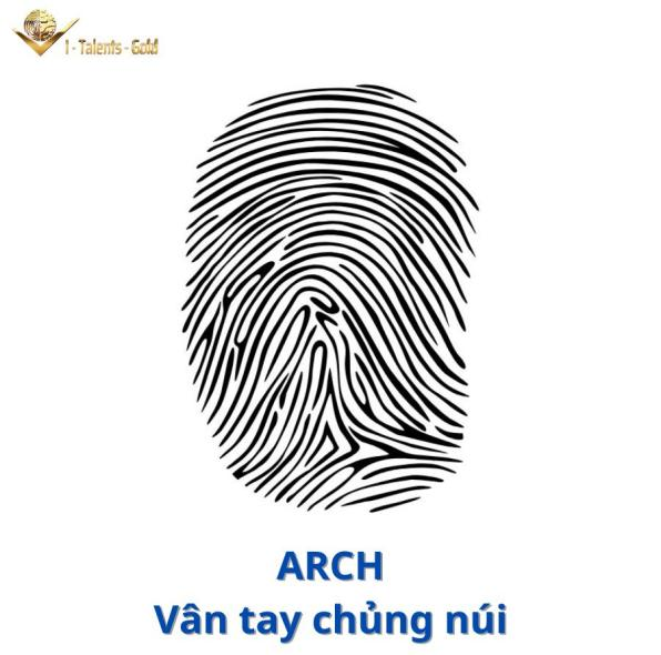 vân tay chủng núi