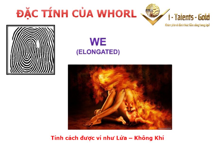 vân tay đại bàng we