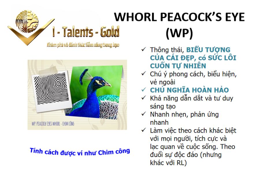 vân tay đại bàng wp