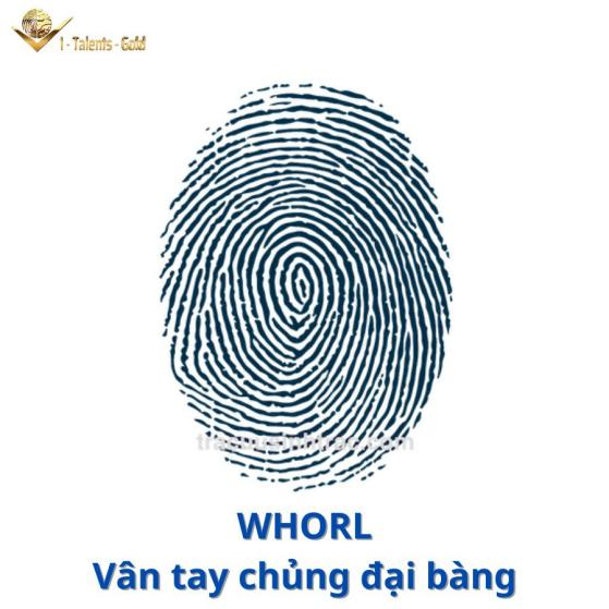 vân tay đại bàng