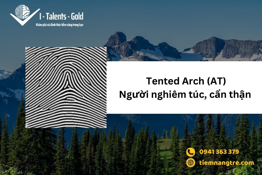 Vân tay Tented Arch