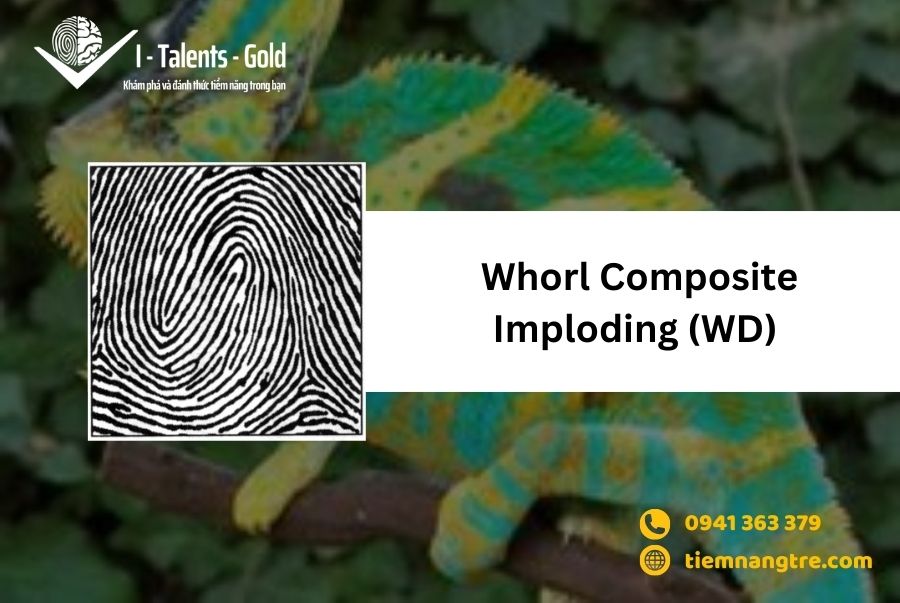 Vân tay Composite Imploding Whorl